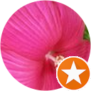 Belle Rose profile picture